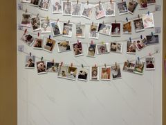 -瑞派康怡24h宠物医院·犬猫医疗中心·微创绝育(瑞景分院)