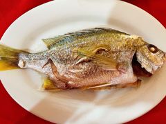 鱼饭-车头老二大排档(金城步行街店)