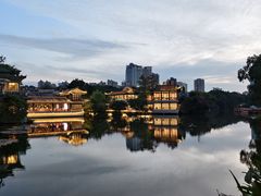 -侨美·唐荔园·40年地道粤菜