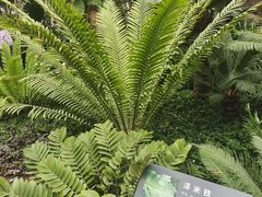 -北京植物园-展览温室