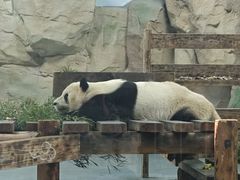 -无锡动物园·太湖欢乐园