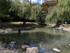 -苏州河梦清园环保主题公园