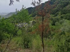 -北京十三陵国家森林公园蟒山景区