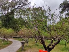 -广州市白云山风景名胜区
