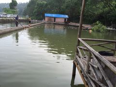 -水库河鲜村