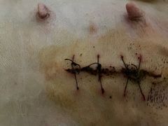 -美迦爱-牙专科·兔科·骨科诊疗中心(北苑店)