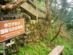 -普陀山风景区-佛顶山