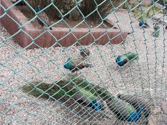 -南京金牛湖风景区