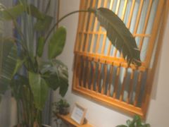 -瓦舍茶馆(聚源路店)