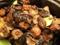-鉴川·川菜传承(星汇两江店)