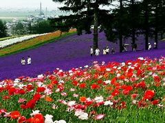android_upload_pic-富田农场