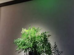 -山里亲戚(淞虹路店)