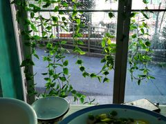 -郑姐私房菜•家常菜