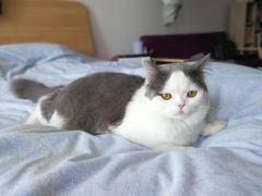 -达爱动物医院·犬猫分区·CT·复杂眼科(远洋山水分院)