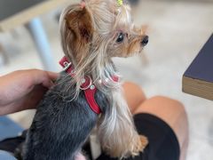 -银吉姆健身(恒隆馆)