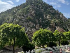 -金龙寺国家森林公园