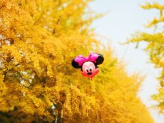 -辽宁大学(崇山校区)