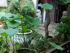 android_upload_pic-留荫庐旅馆