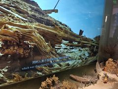 -中国湿地博物馆
