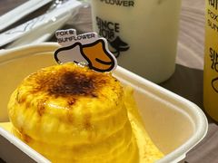 -狐狸和向日葵(北京路店)