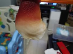 北极贝寿司-万岁寿司(芳村店)