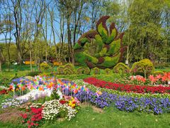 -上海共青森林公园