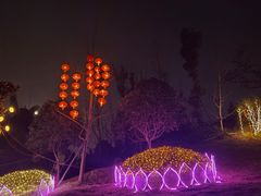 -枫香湖儿童公园