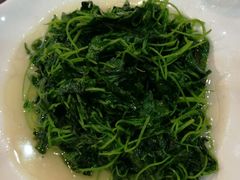 -草庐酒家