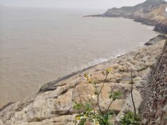 -温岭石塘海边