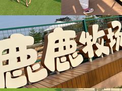 -盈香心动乐园