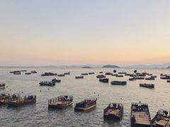 -北岐滩涂