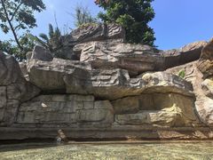 -海口观澜湖火山温泉谷