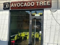 门面-油梨树AVOCADO TREE(顺义新国展店)