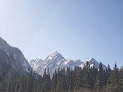 -白马王朗自然风景区