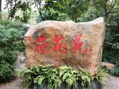-金花茶公园