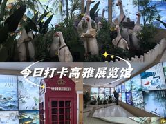 -高新活力汇Vitality