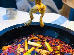 -蛙鱼潭美蛙鱼头火锅(解放碑瑞富广场店)