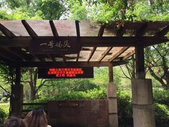 -九曲溪竹筏码头