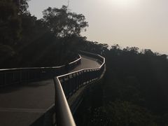 -金鸡山公园