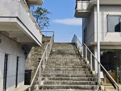 -美的鹭湖森林度假区