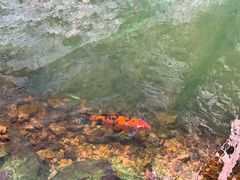 -湖洞水自然风景区