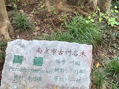 -幕燕滨江·燕子矶公园