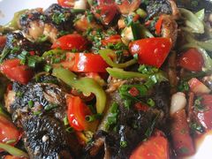 -生态苑农庄(十里画廊遇龙河店)