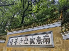 -枣子树·素食餐厅(普陀山店)