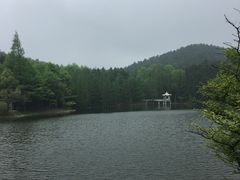 -四明山国家森林公园