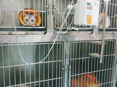 -狗舍宠物医院(四季商业广场店)