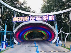 -枫花园汽车电影院(朝阳公园店)