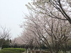 -白塘生态植物园