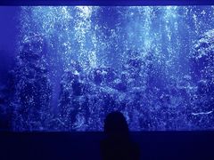 -石家庄海洋公园