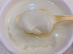 姜撞奶-顺德人家食府(黄金广场店)